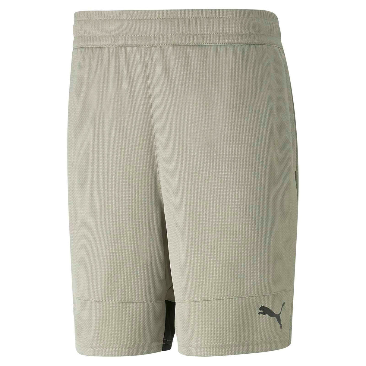 Puma Mens Fit Ultrabreathe 5in Short Wh