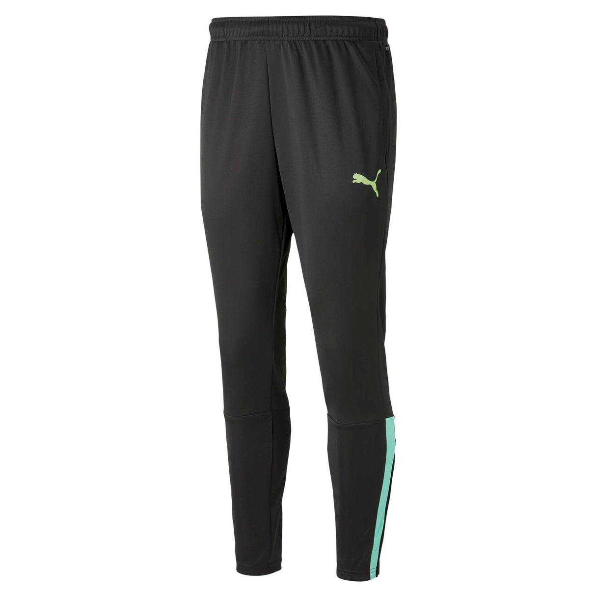 Puma Mens Team Liga Training Pant Black