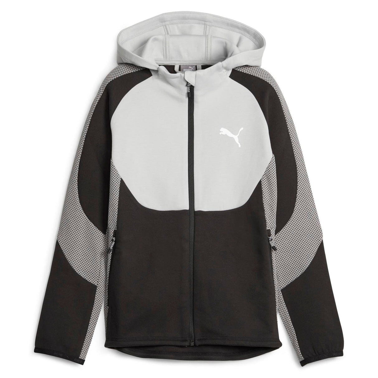 Puma Boys Evostripe FZ Hoodie DK Grey