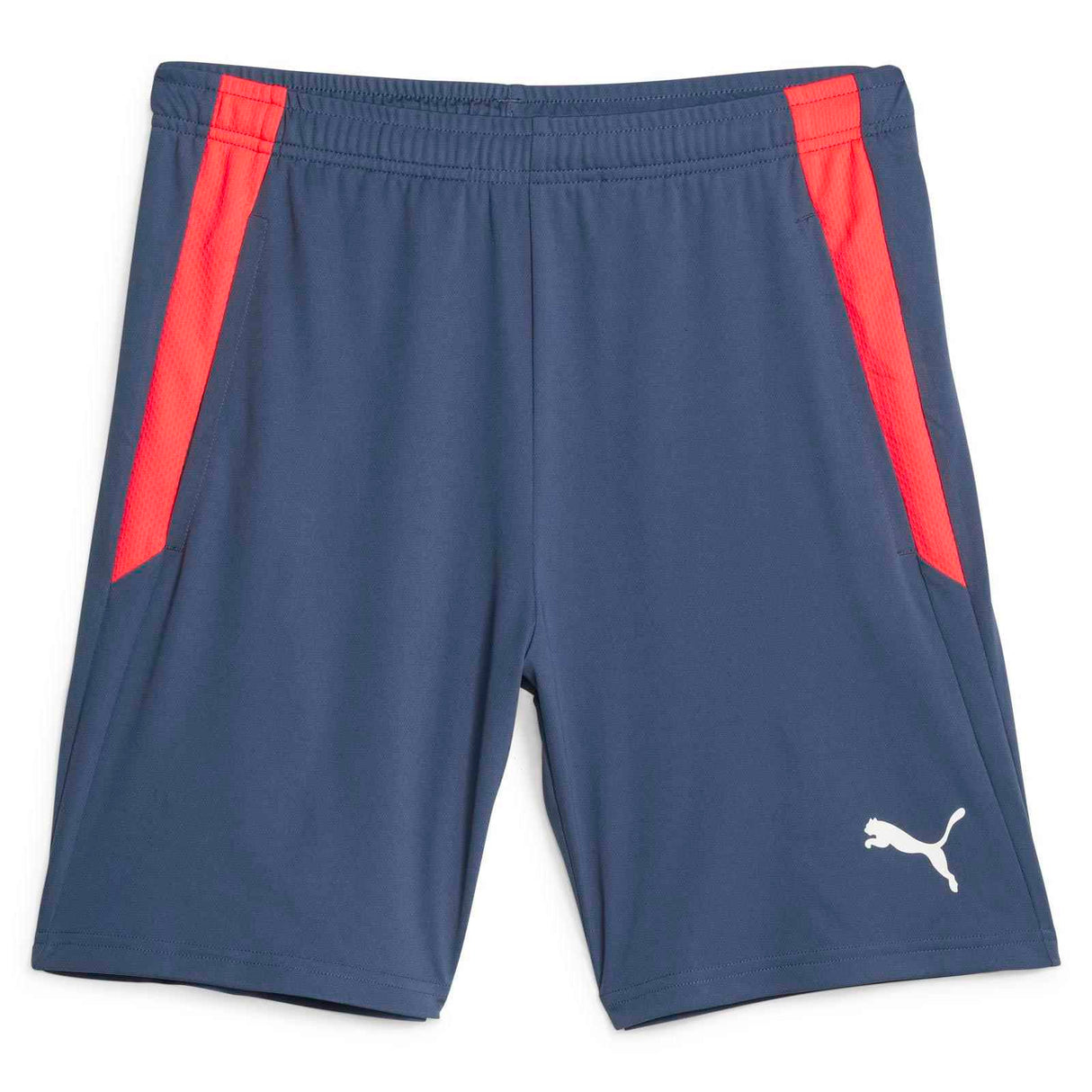 Puma Mens teamLIGA Training Shorts 2 Blu
