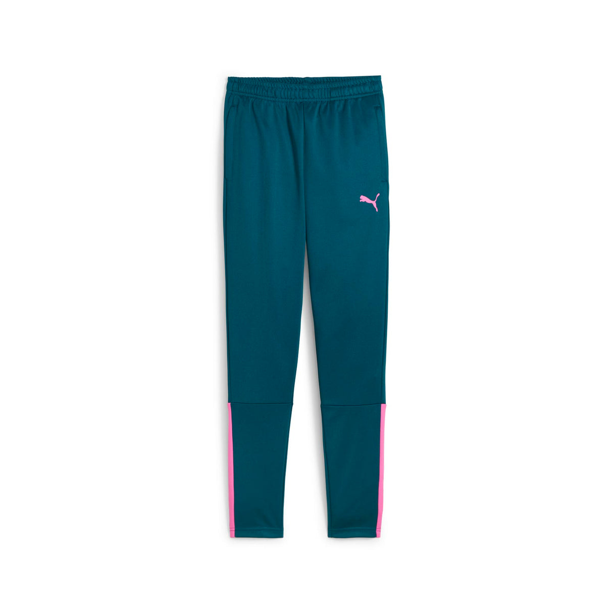 Puma Boys teamLIGA Training Pant Blue