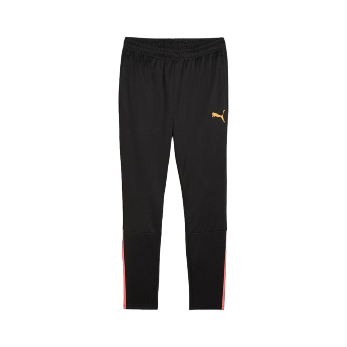 Puma Mens Team Liga Training Pant Black