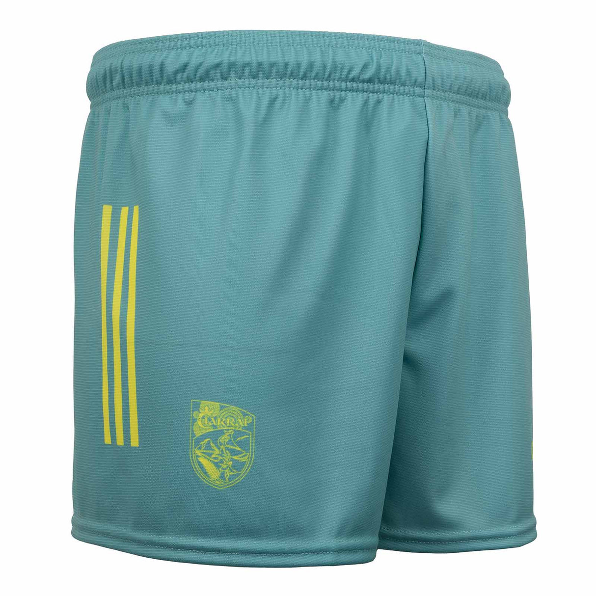 O'Neills Kerry Training 24 Short Green