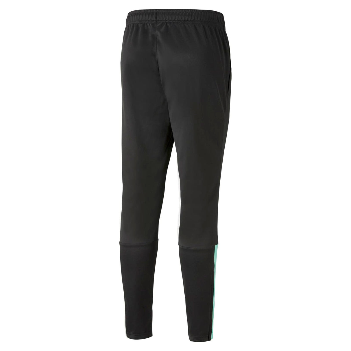 Puma Mens Team Liga Training Pant Black