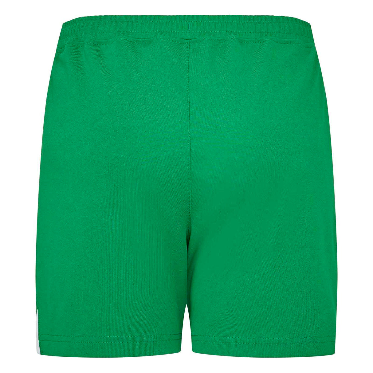 Castore FAI 23 Away Kids Shorts Green