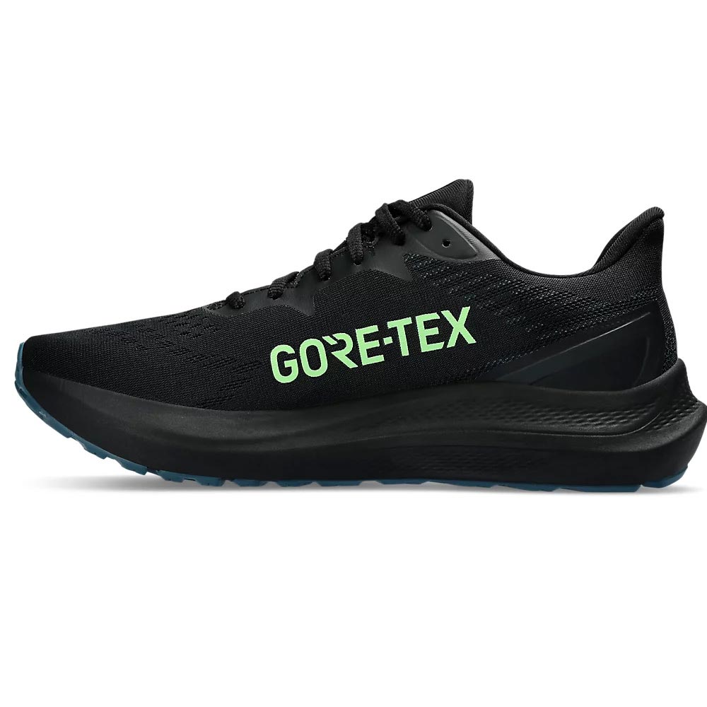 Asics GT-2000 12 GTX Mens Black