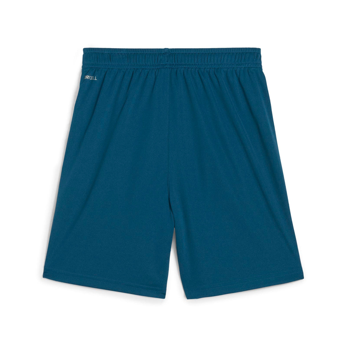 Puma Boys teamLIGA Training Short 2 Blue
