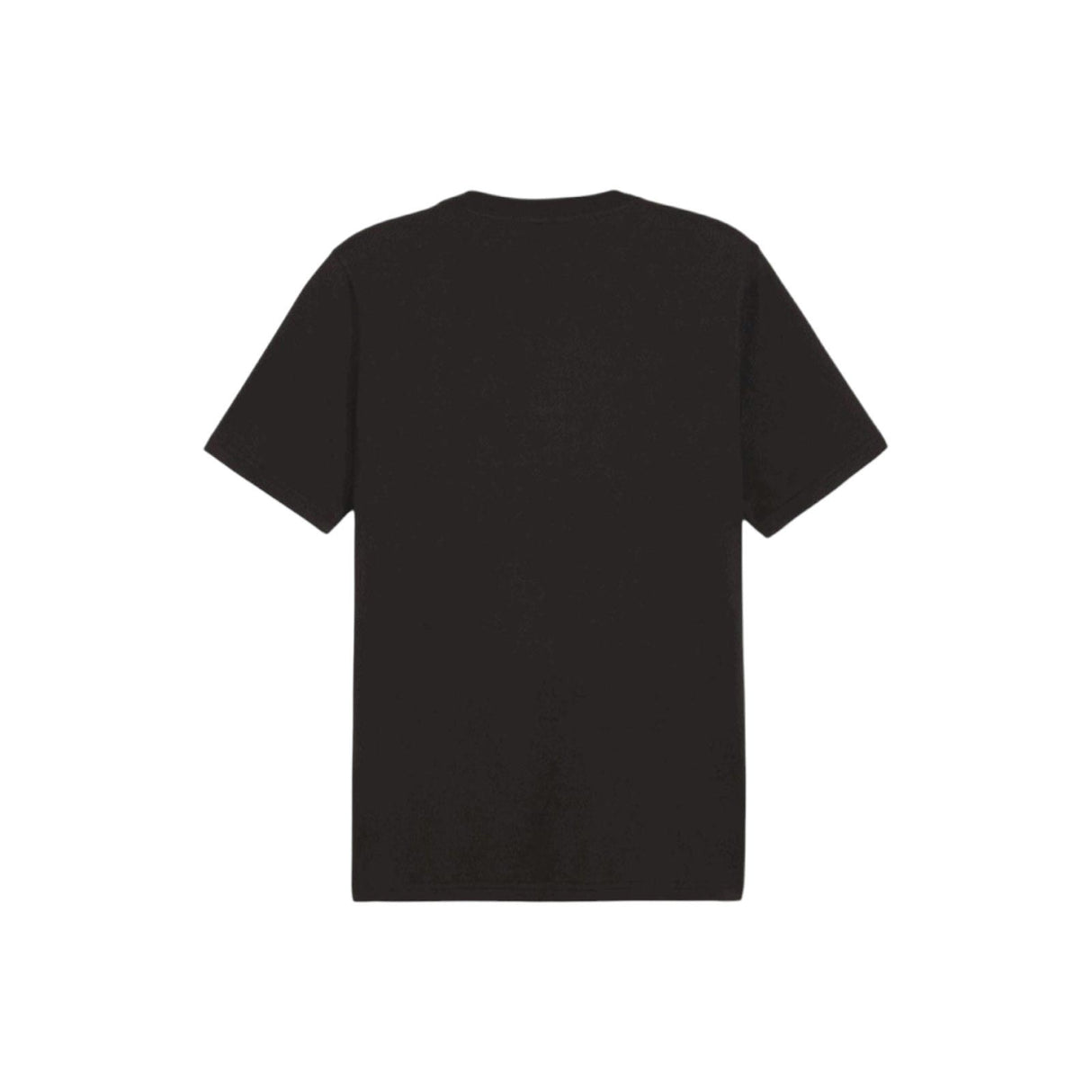 Puma Men Graphics Summer Sport Tee Black