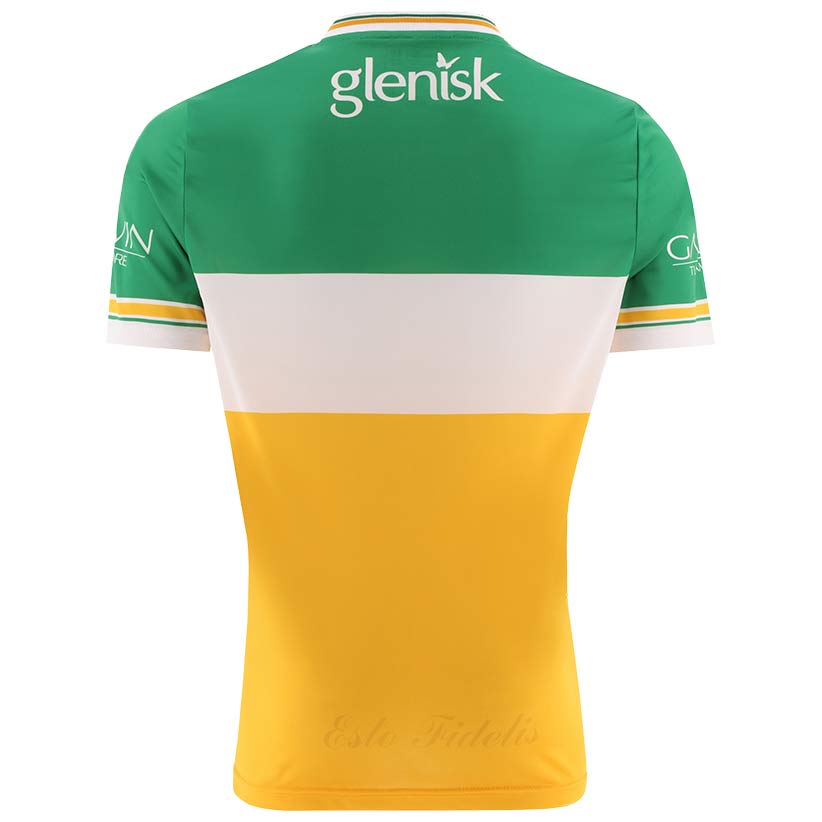 O'Neills Offaly 24 Home Jersey Green