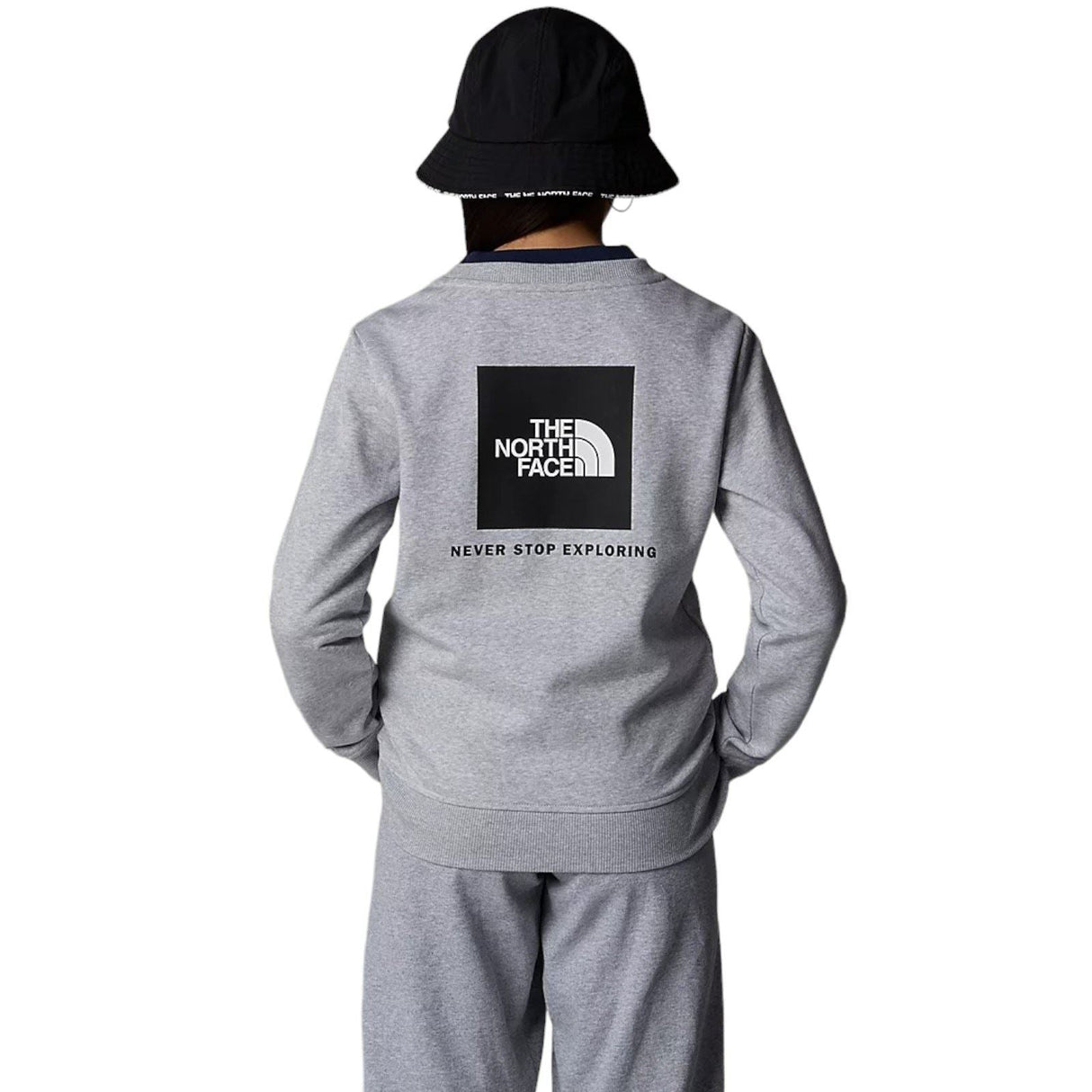 The Northface TEEN REDBOX REGULAR CRE Gy