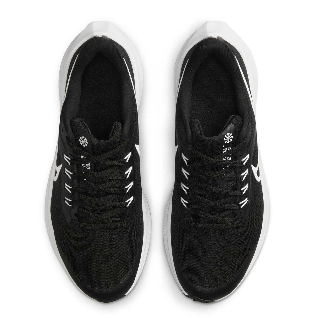 Nike Air Zoom Pegasus 39 Black