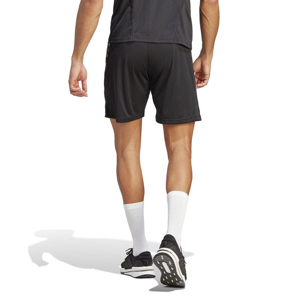adidas All Blacks RWC Gym Short Black