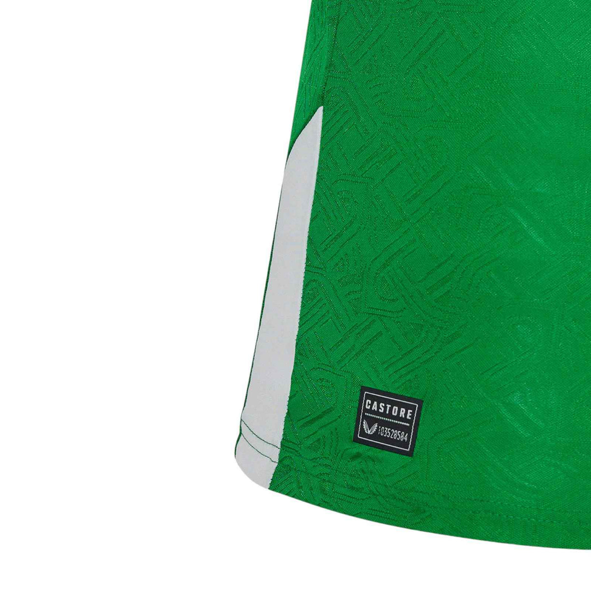 Castore FAI 24 Home LS Jersey Green