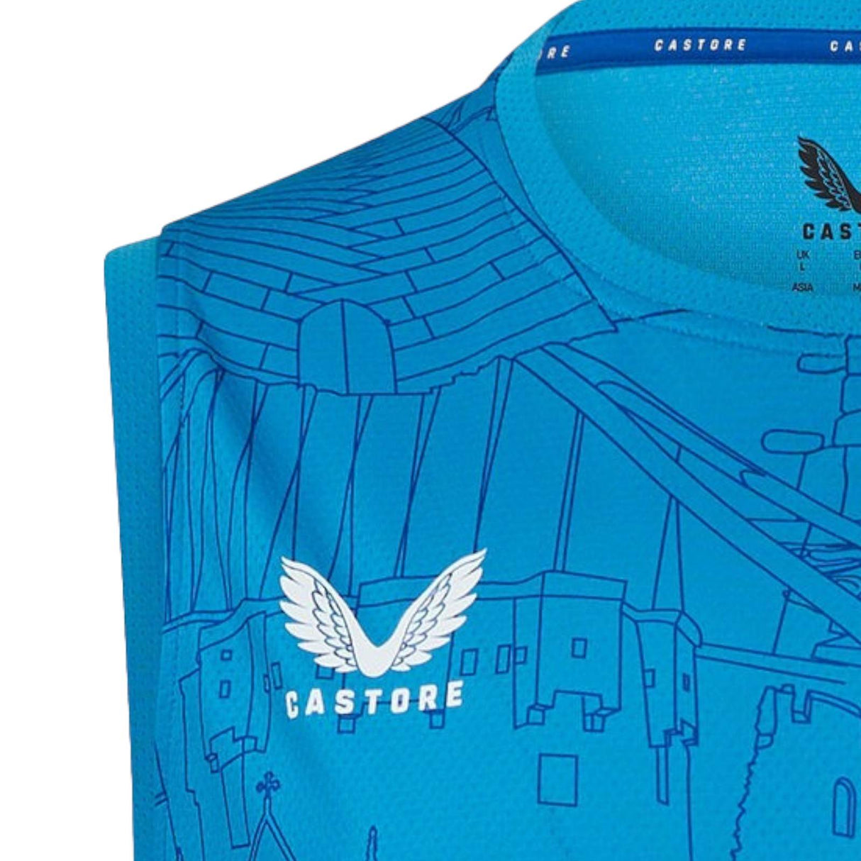 Castore Leinster 24 Matchday Vest Blue