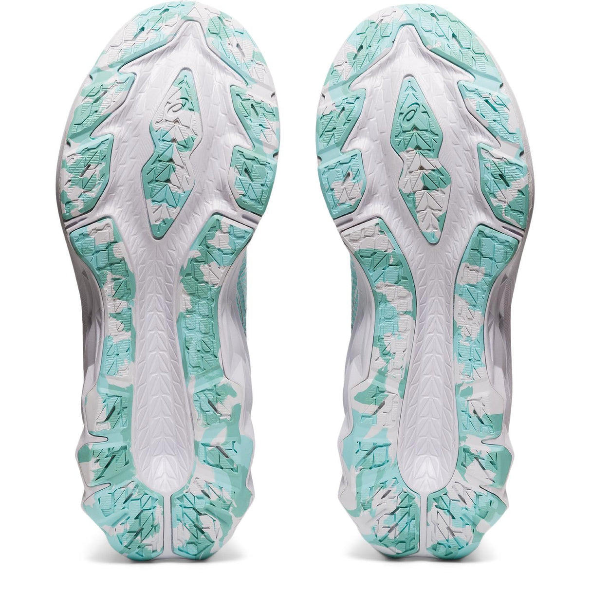 Asics Novablast 2 LE Wmns Run Wht/Silver