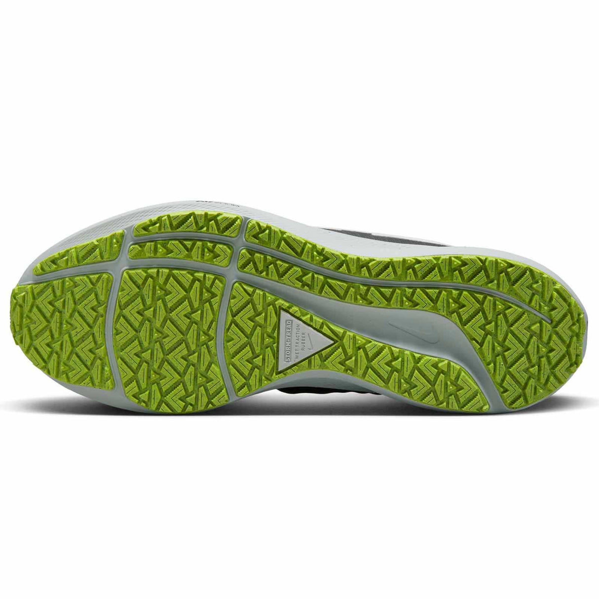 Nike Wmns Air Zoom Pegasus 39 Shield Bk