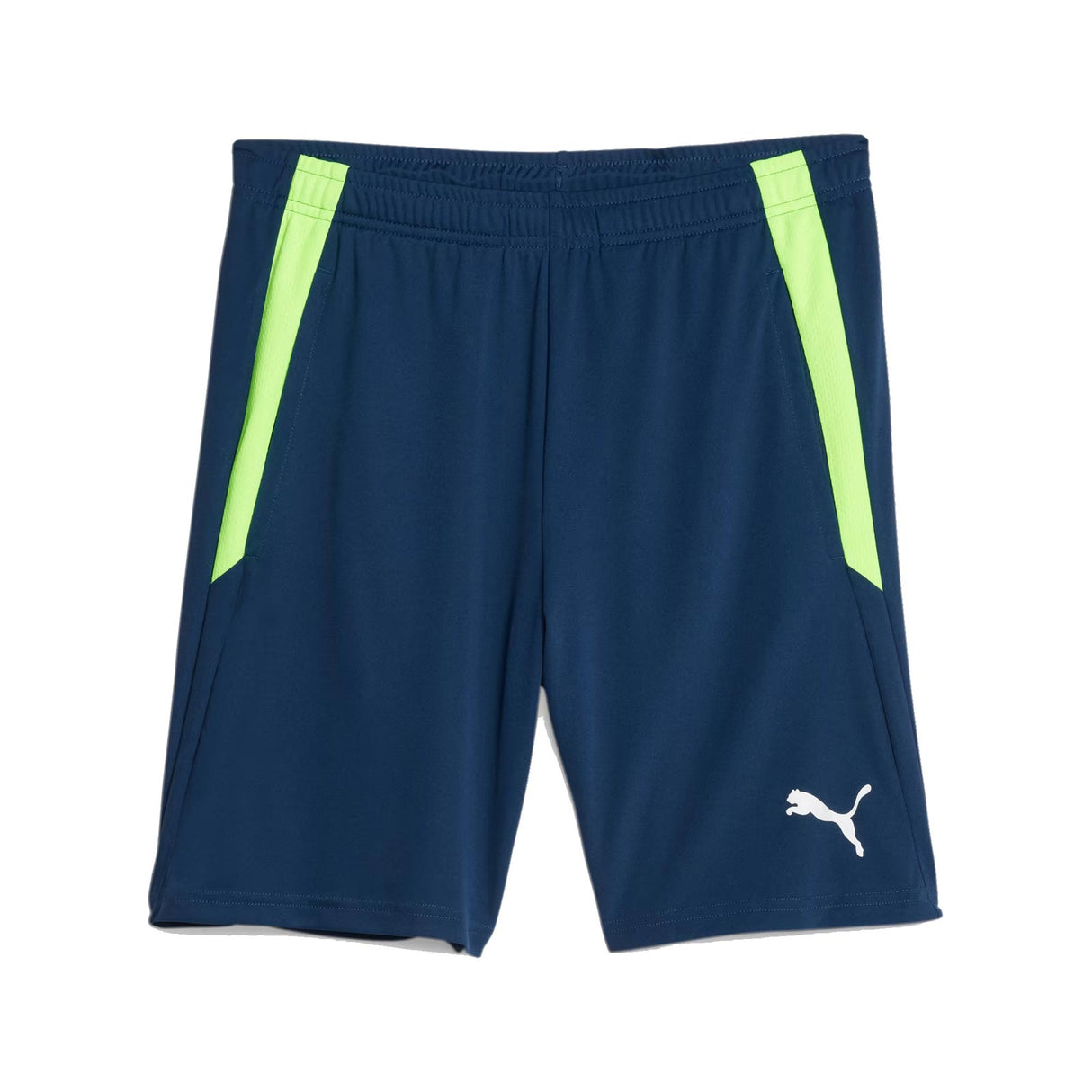 Puma teamLIGA Training Shorts Navy