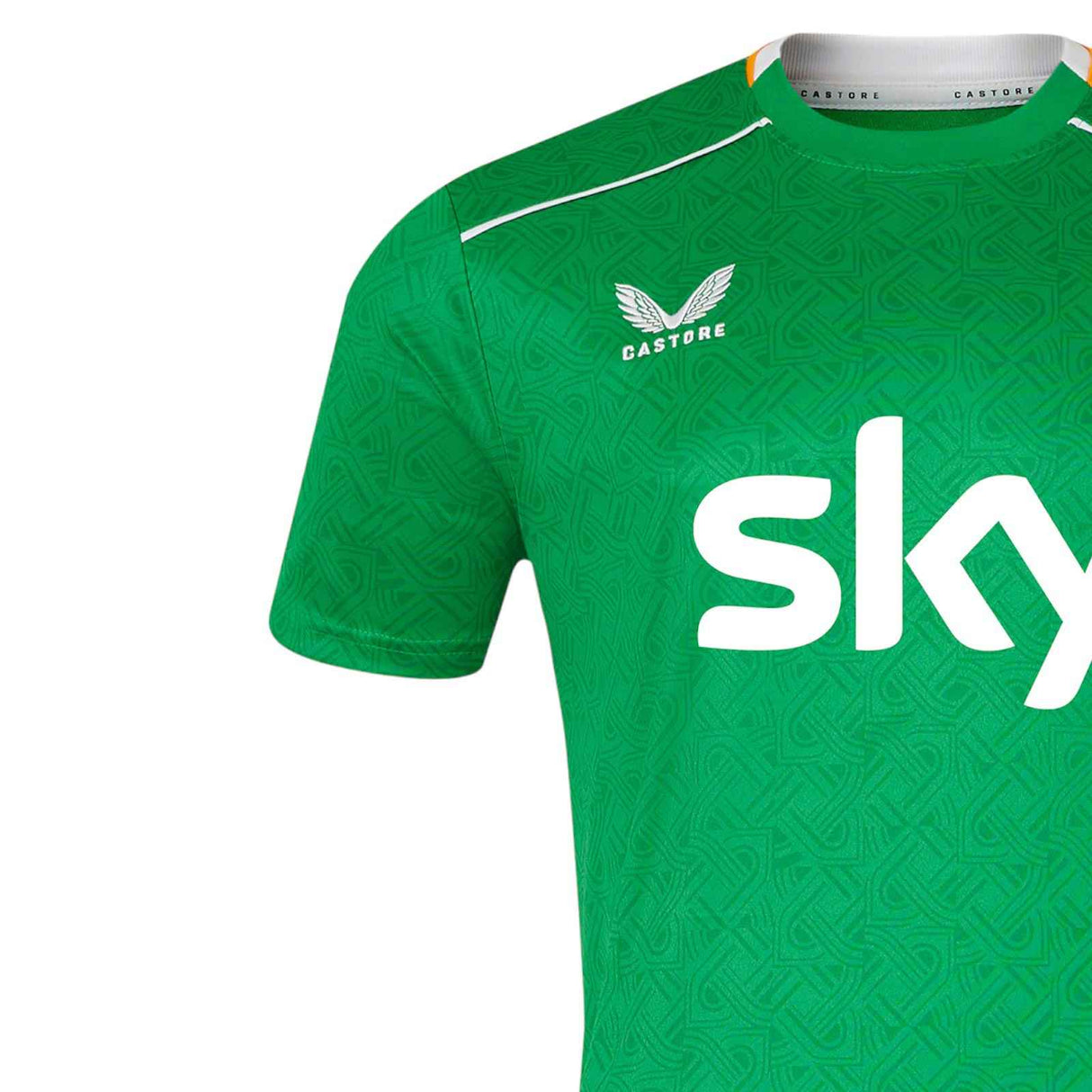Castore FAI 24 Home SS Jersey Green