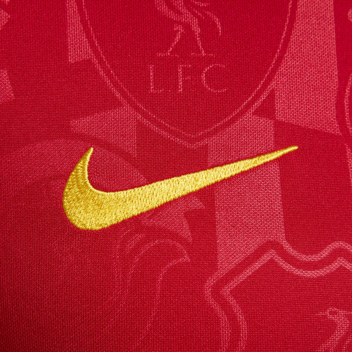 Nike LFC 24 Pre Match Jersey Red