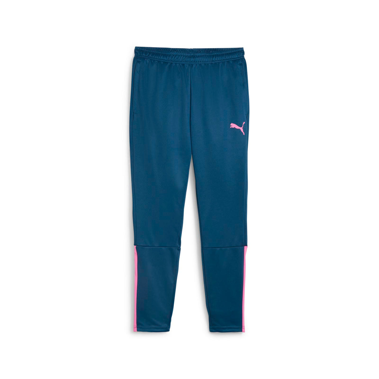 Puma Mens teamLIGA Training Pant Blue