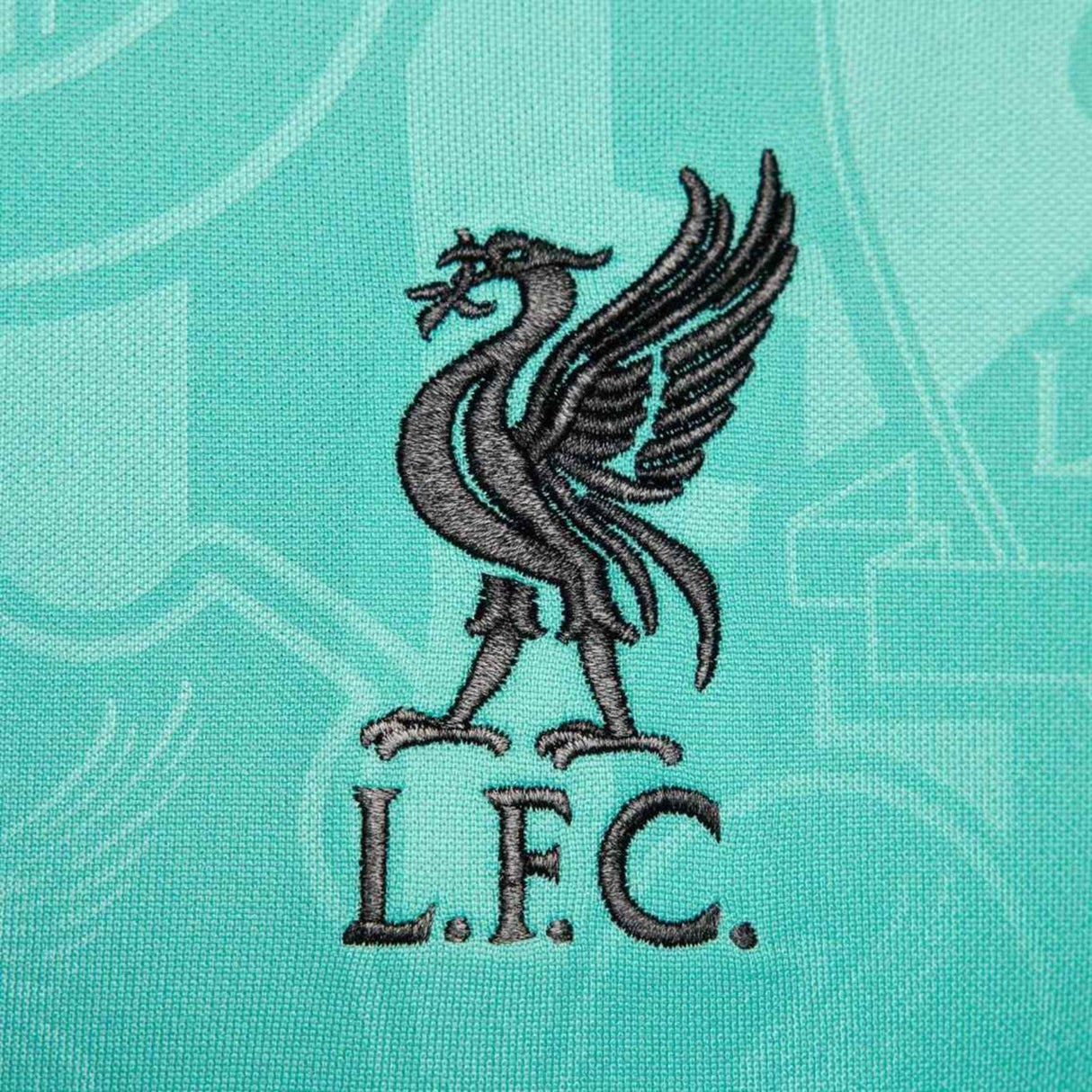 Nike LFC 24 Away PM Jersey Green