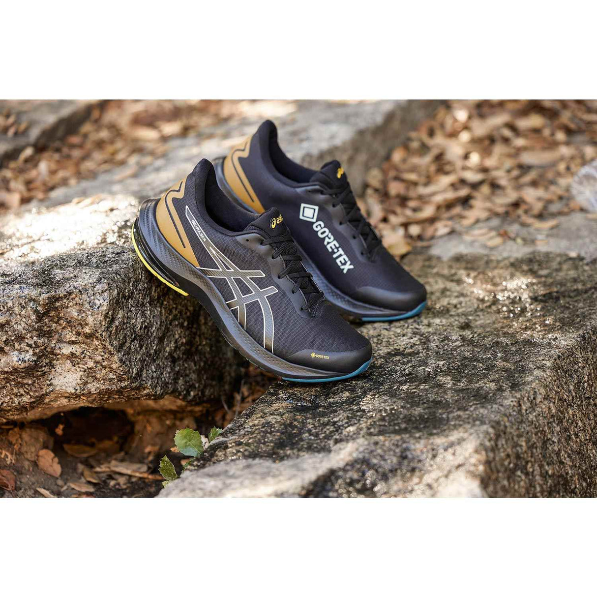 Asics Pulse 14 GTX Mens Black/Brown