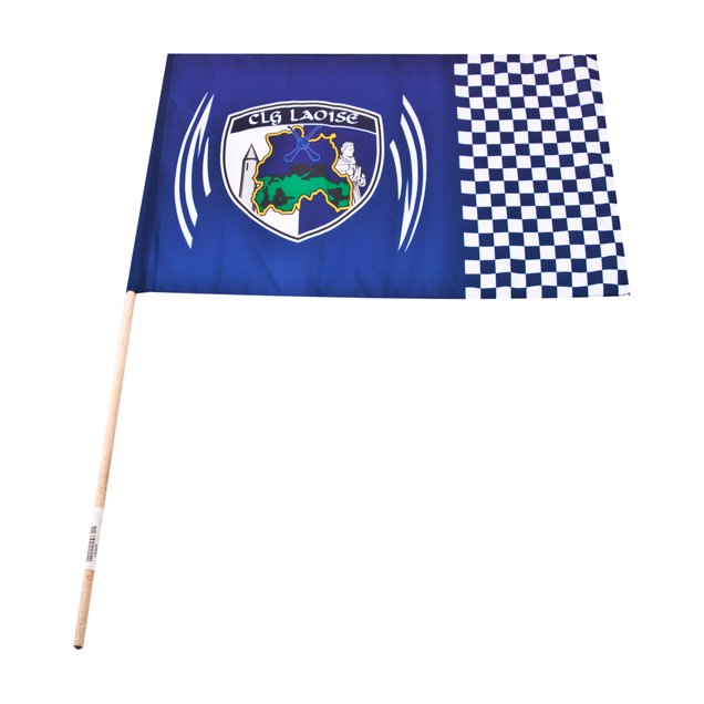 Introsport Laois Handheld Flags