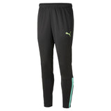 Puma Mens Team Liga Training Pant Black