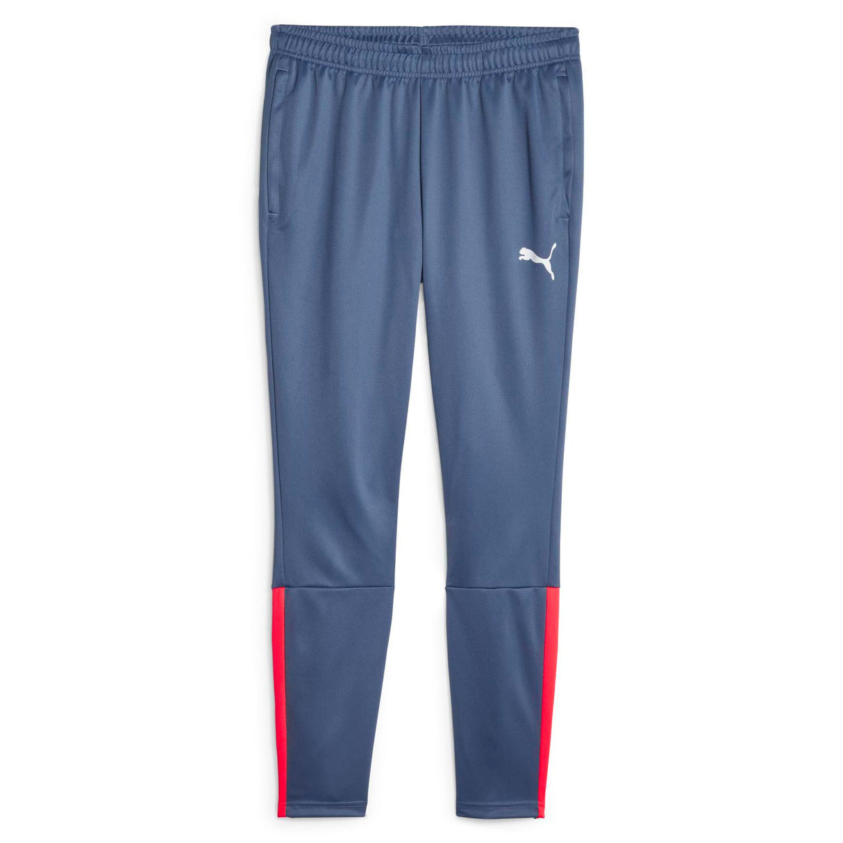 Puma Mens teamLIGA Training Pant Blue