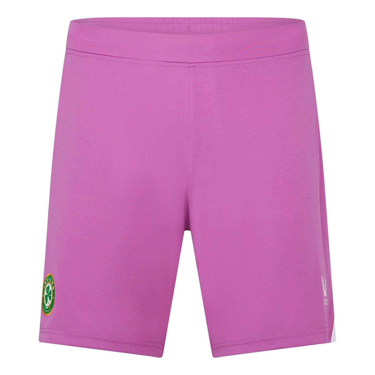 Castore FAI 23 Home GK Short Purple