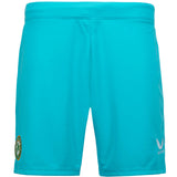 Castore FAI 23 Away GK Kids Short Blue