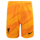 Nike LFC 23 Kids GK Away Short Yellow
