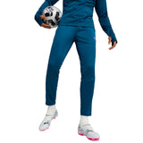 Puma Mens teamLIGA Training Pant Blue