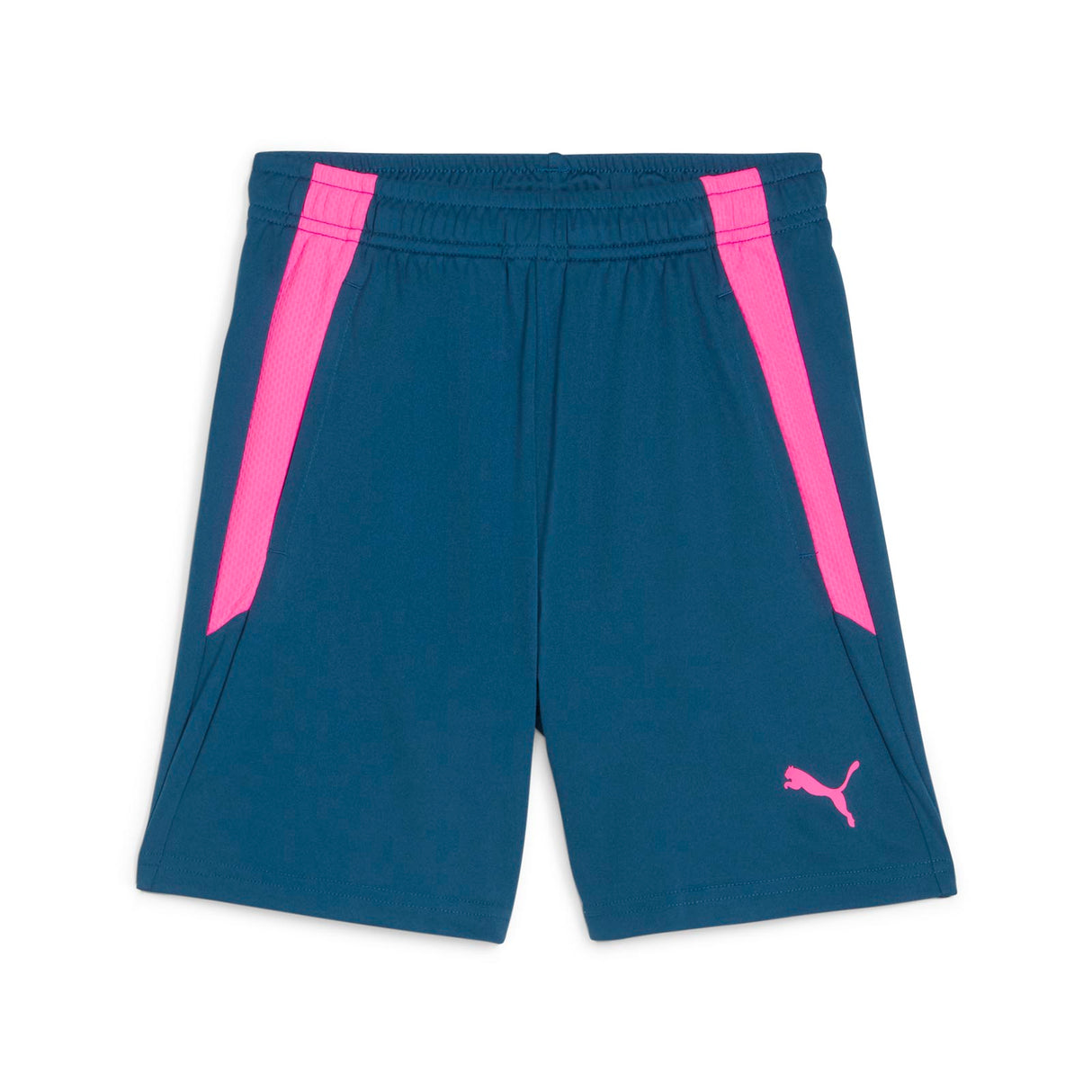 Puma Boys teamLIGA Training Short 2 Blue