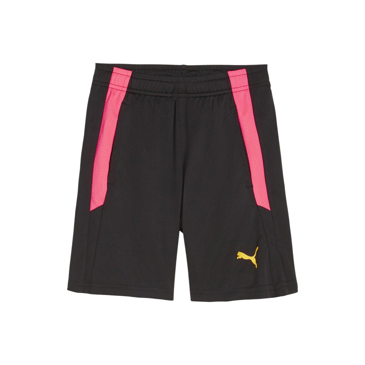 Puma Boy teamLIGA Training Short 2 Black