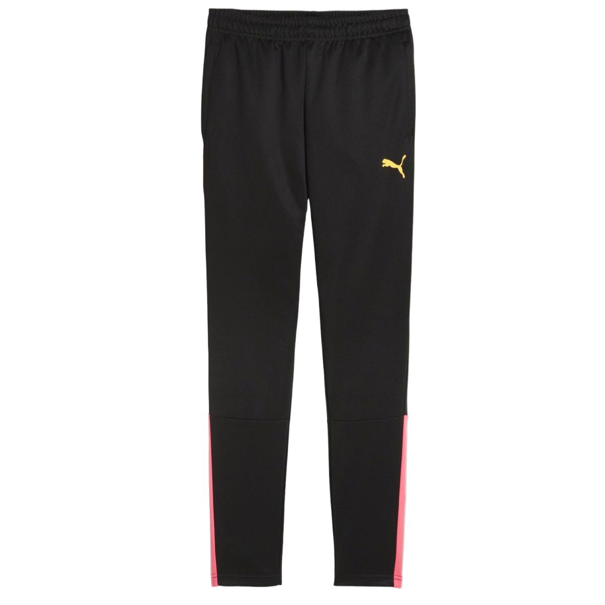 Puma Boys teamLIGA Training Pant Black