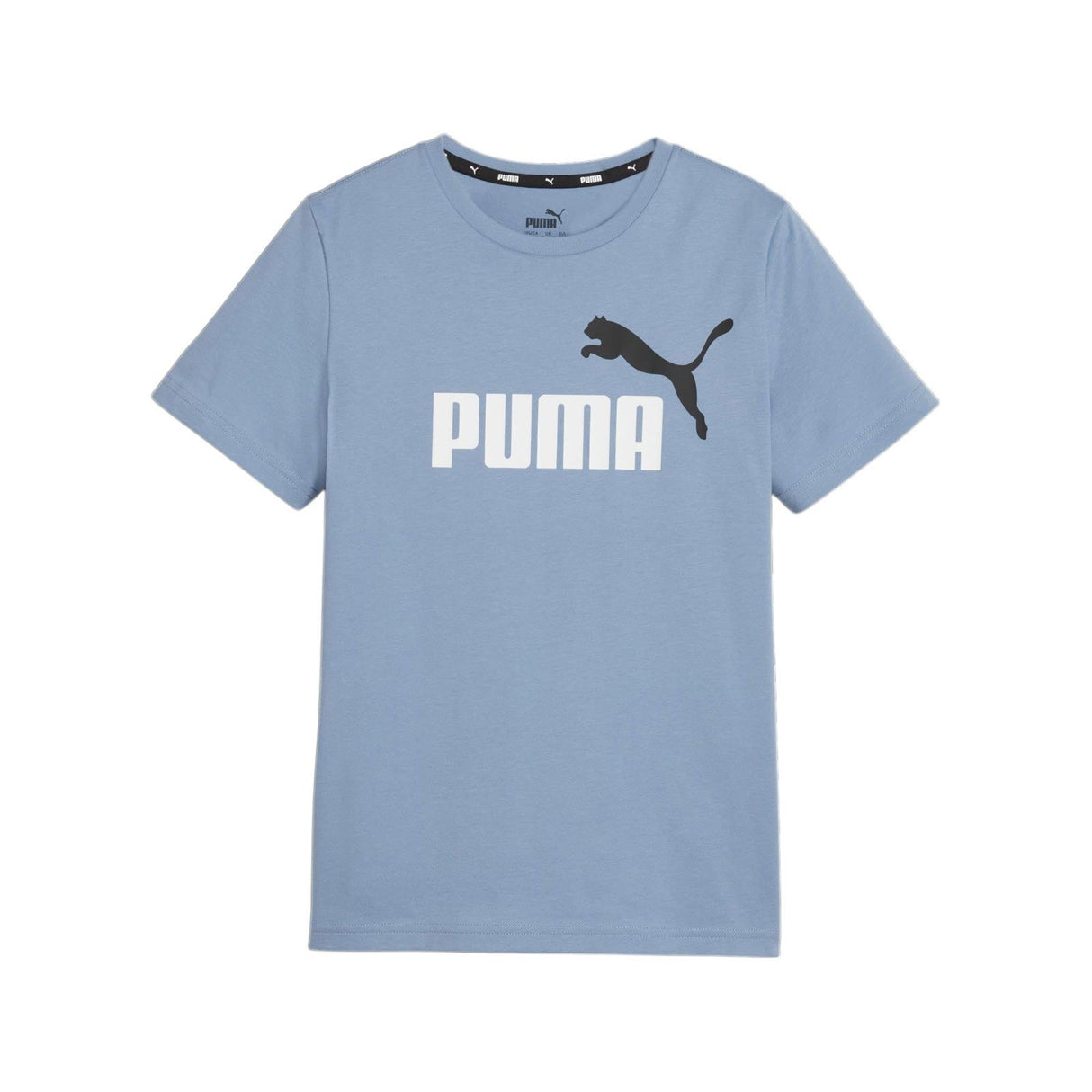 Puma Boys ESS 2 Col Logo Tee Blue