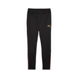 Puma Mens Team Liga Training Pant Black