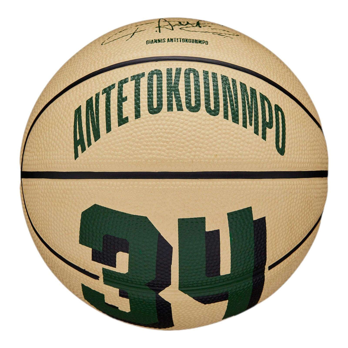 Wilson NBA Player Icon Mini Giannis Grn