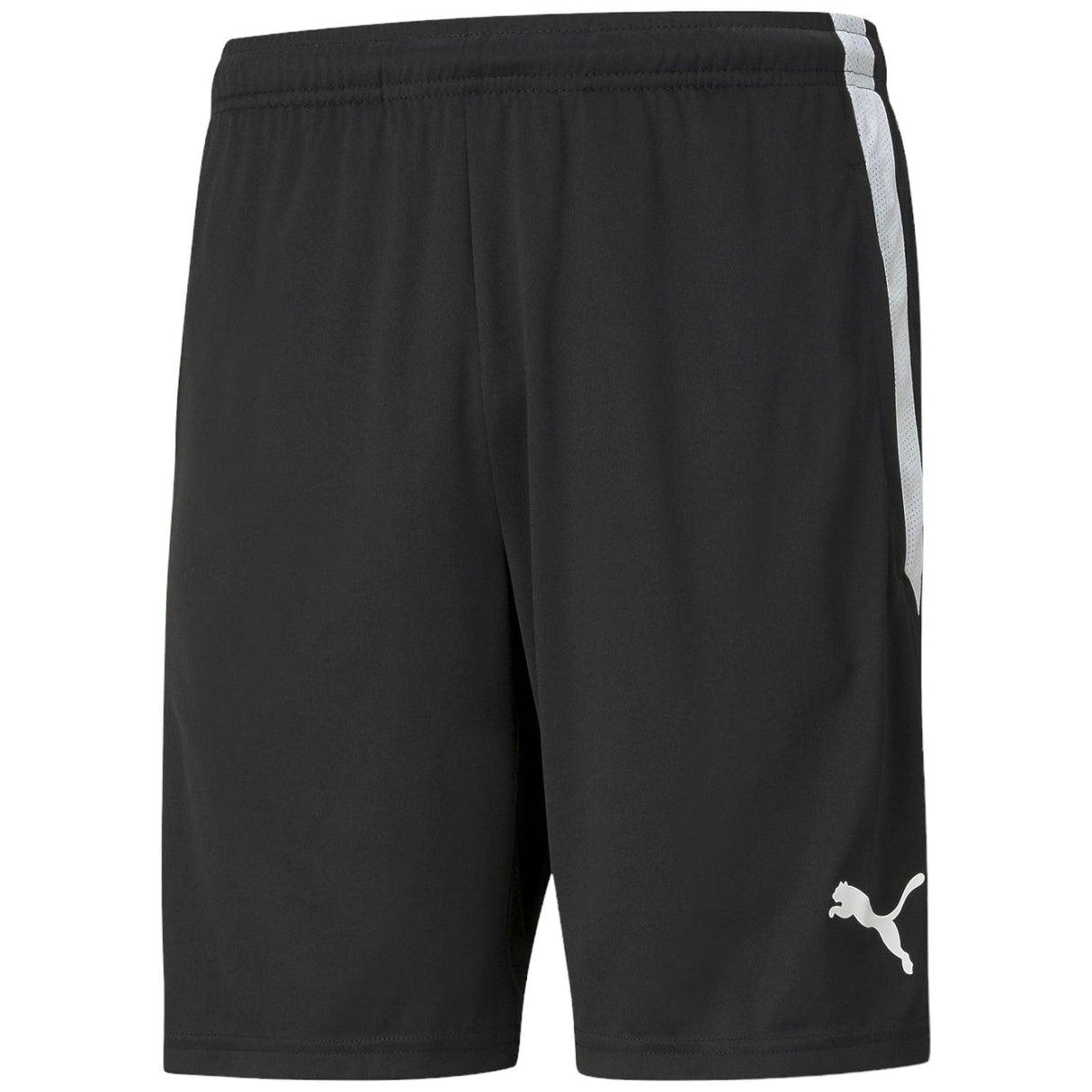 Puma Team Liga Training Mens Shorts Blck