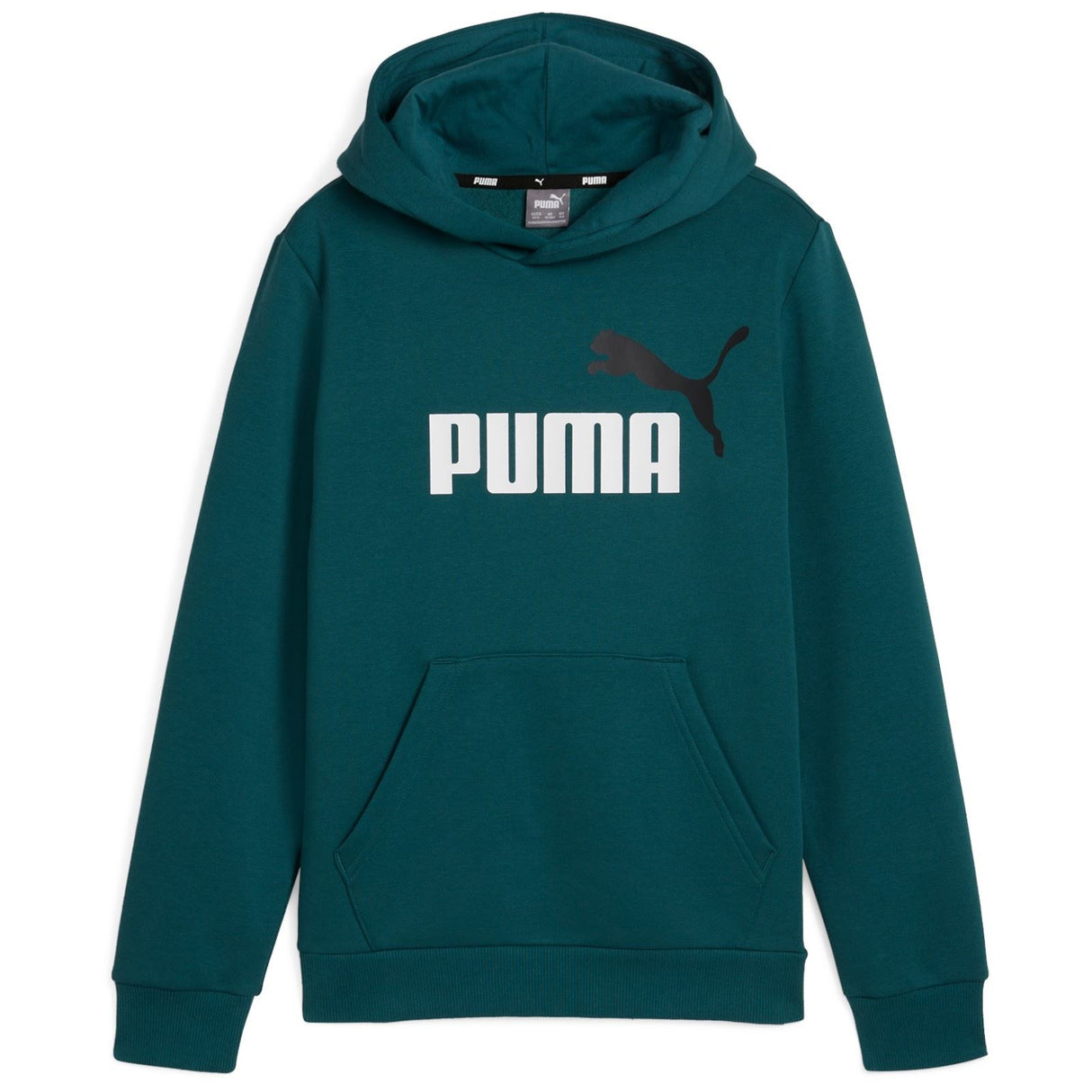 Puma Ess 2 Big Logo FL Boys Hoodie Green