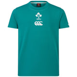 Canterbury IRFU 24 Cotton Kids Tee Green