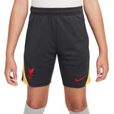 Nike LFC 24 3rd Kids Strike Short Grey