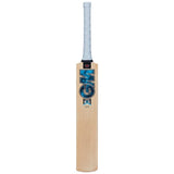GM Diamond 22 Kashmir Willow Crckt Bat
