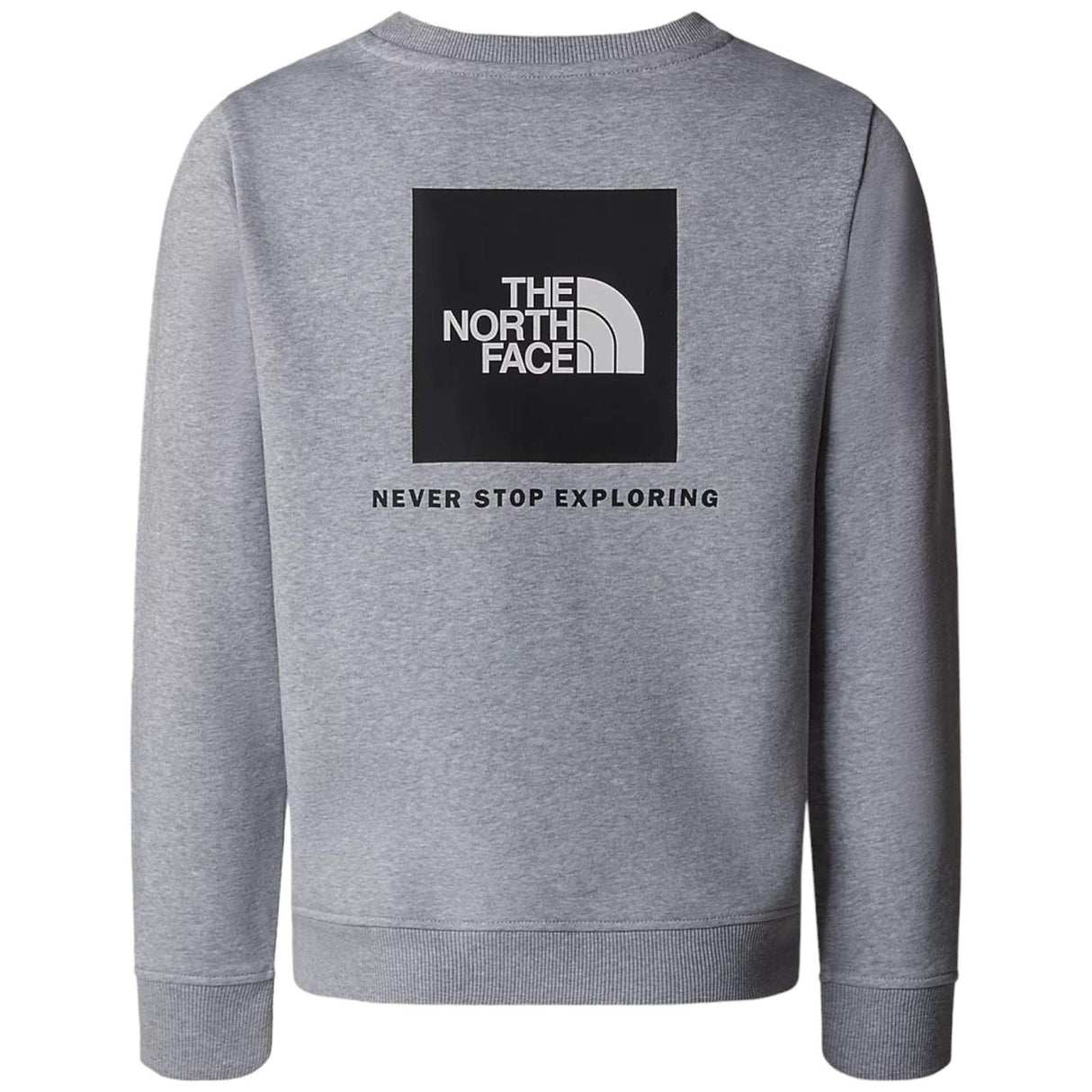 The Northface TEEN REDBOX REGULAR CRE Gy