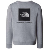 The Northface TEEN REDBOX REGULAR CRE Gy
