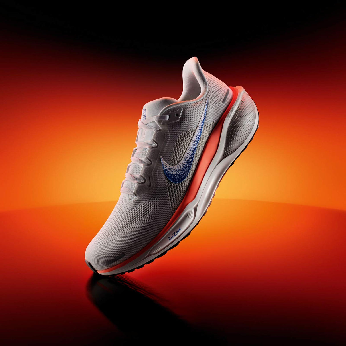 Nike Pegasus 41 Wmn MULTI