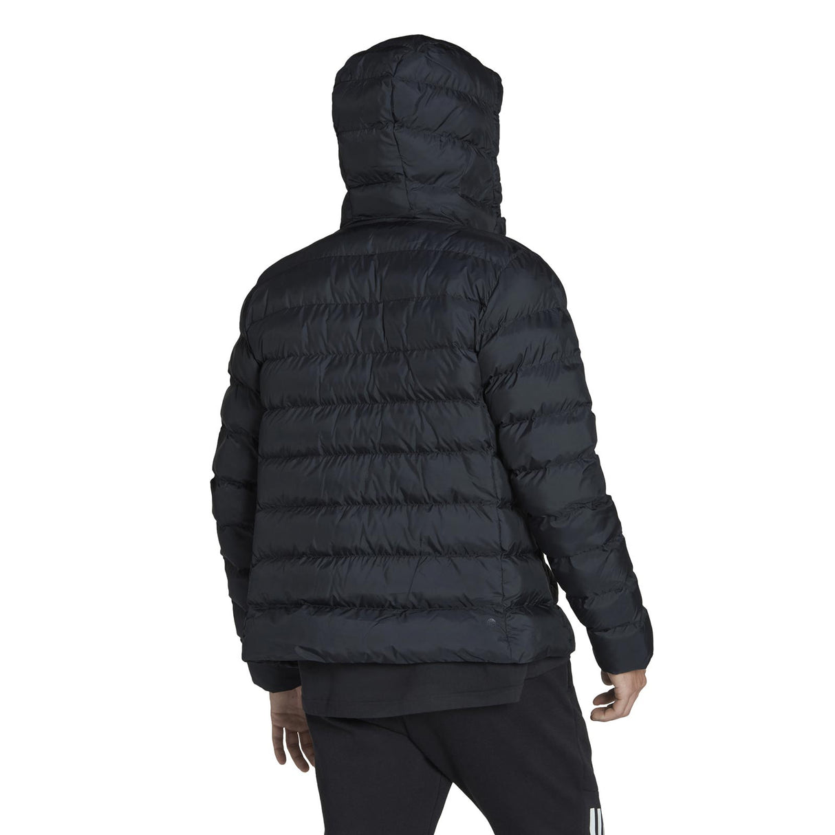 adidas MENS ADI INT JKT black