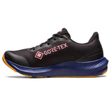 Asics Pulse 14 GTX Womens Black