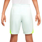 Nike Boys DF Strike Short BR Grey